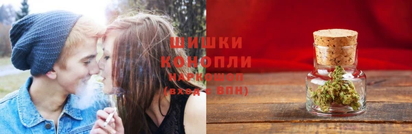 mdpv Белокуриха