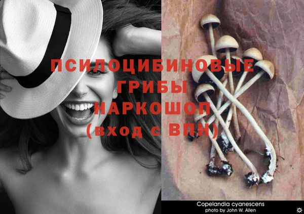 мяу мяу кристалл Саяногорск
