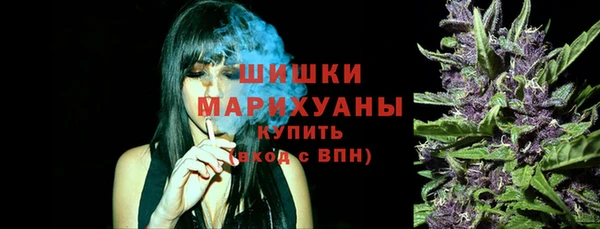 mdpv Белокуриха