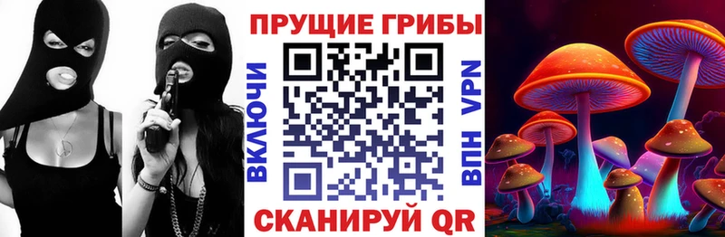 Галлюциногенные грибы мицелий  наркотики  Лыткарино 