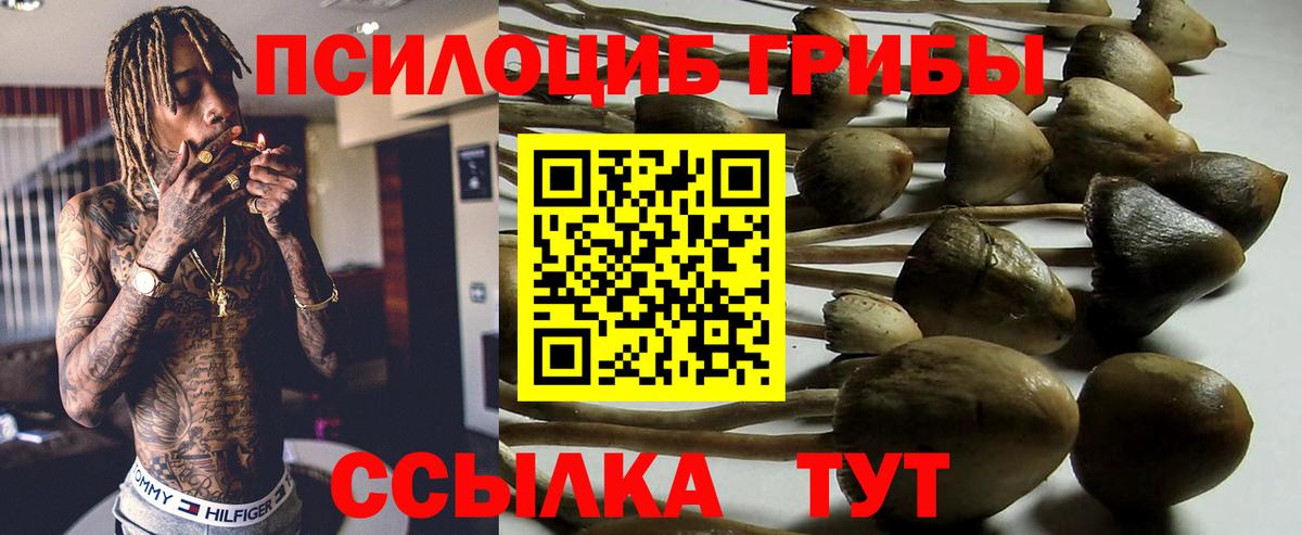 Псилоцибиновые грибы мухоморы  Вход с VPN  Лыткарино 
