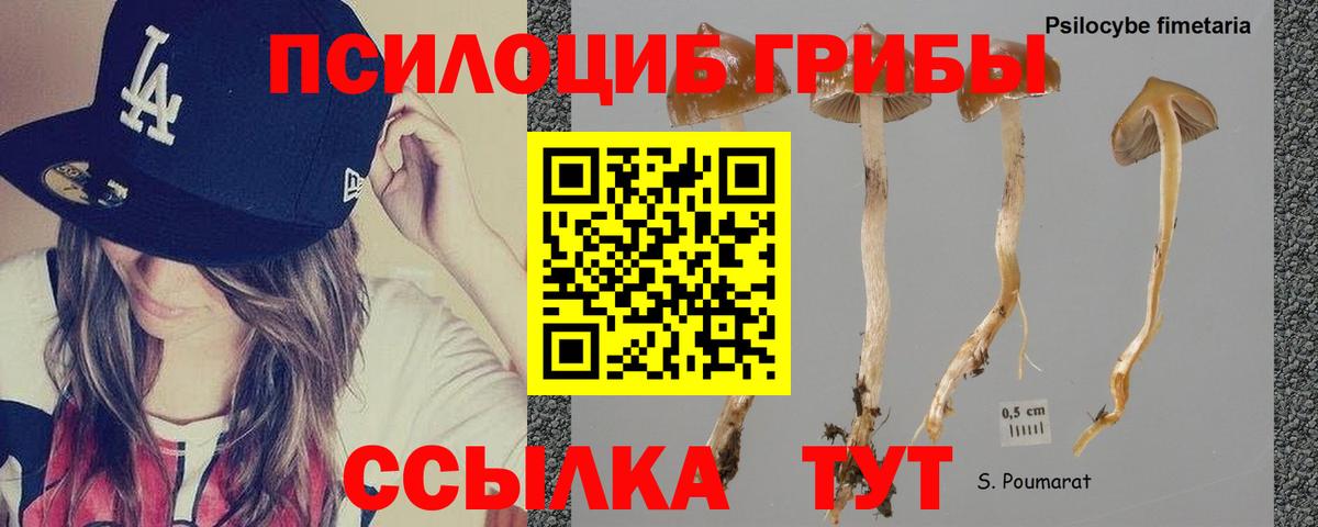 Галлюциногенные грибы ЛСД Лыткарино